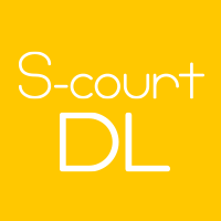 S-court DL